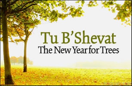 Tu B’Shevat Seder, February 16, 6:00 pm