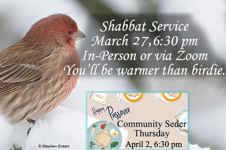 Weekly Shabbat, March 27