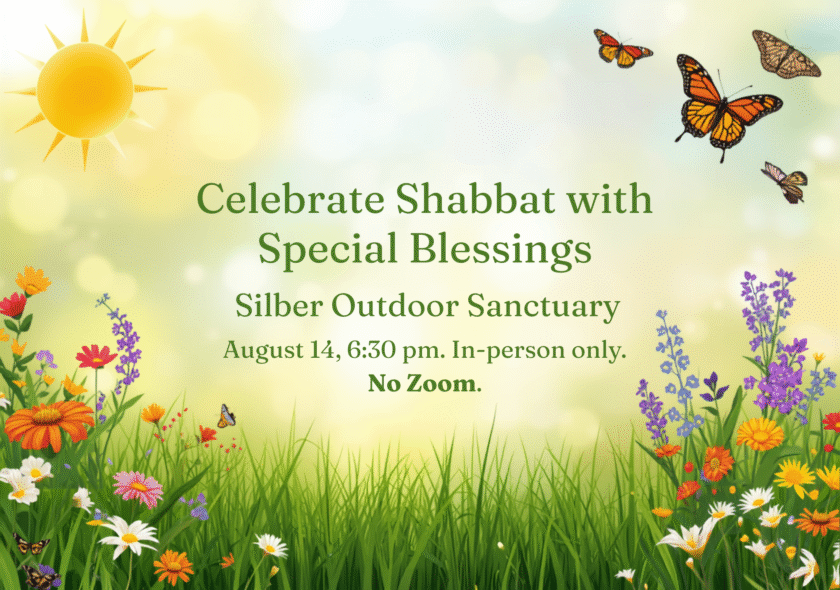 Weekly Shabbat, August 14